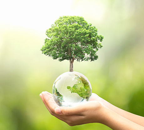 친환경 경영